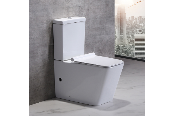 Amaize 103N-TPT Modern Two-Piece Toilet