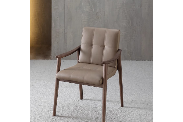 96532 Modern Leisure & Dining Chair